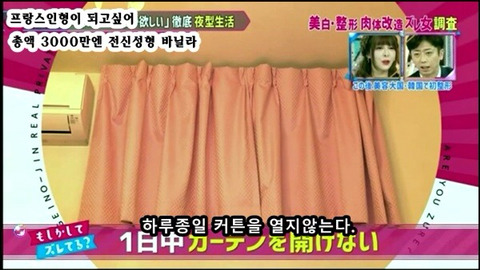 프랑스 인형이 되고싶어 총액 3000만엔 전신성형한 바닐라 | 인스티즈