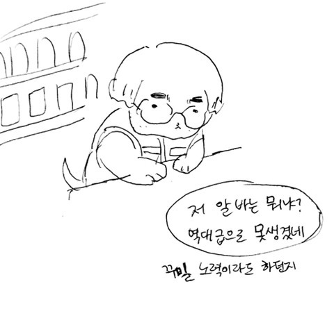 아름다운 애완인간 | 인스티즈