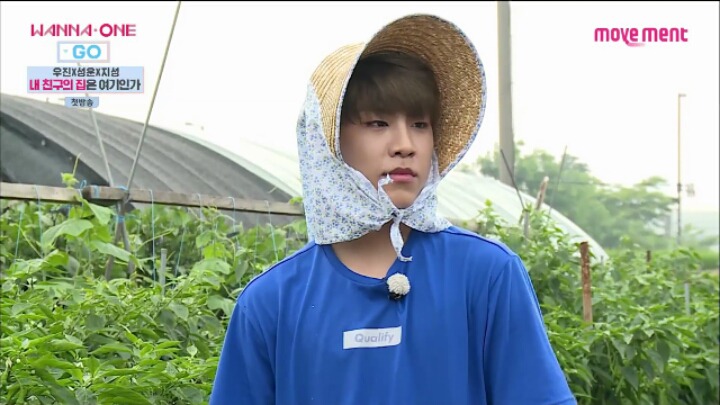 우진네 이미지