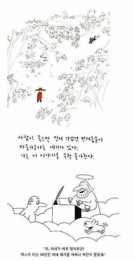 먼저 간 반려동물은 주인을 기다린다는 이야기 | 인스티즈