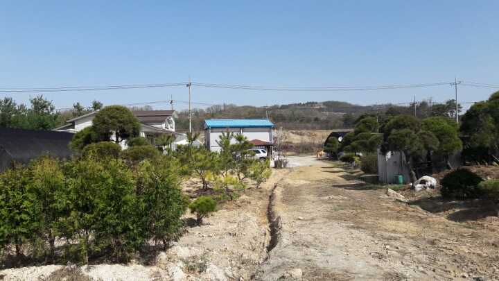 수림조경 이미지