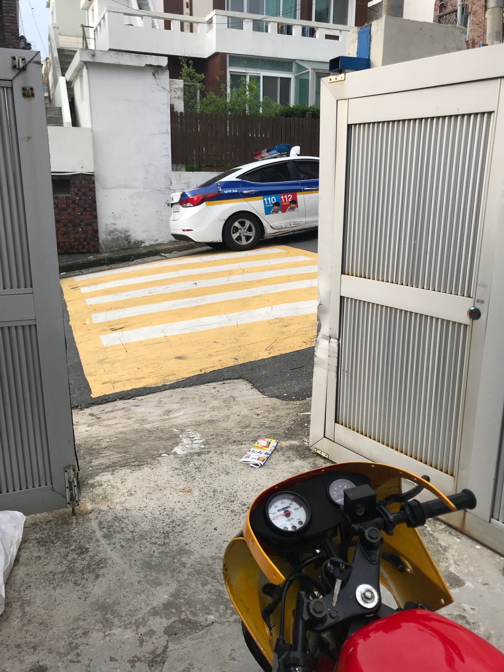 와이에스알 이미지