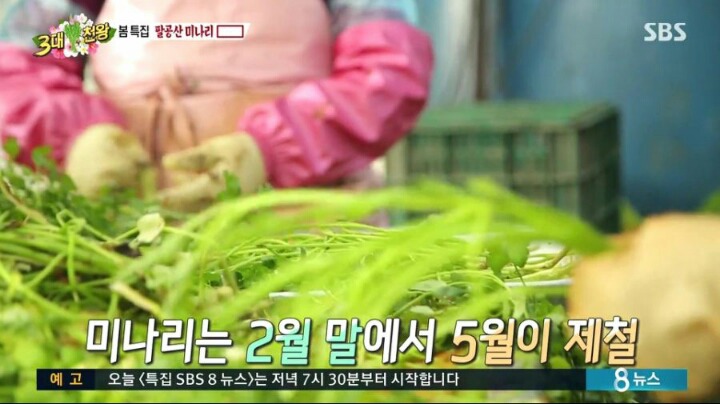 백종원이 추천하는 삼겹살+미나리.jpg | 인스티즈