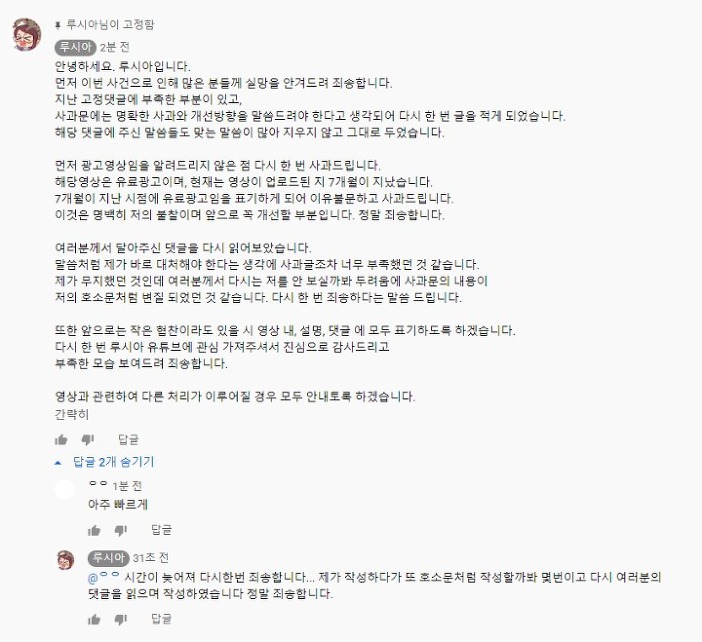 스트리머 루시아 은퇴 | 인스티즈