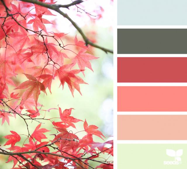 색깔 조합 어려워하는 사람들이 참고하면 좋은 색조합.jpg | 인스티즈