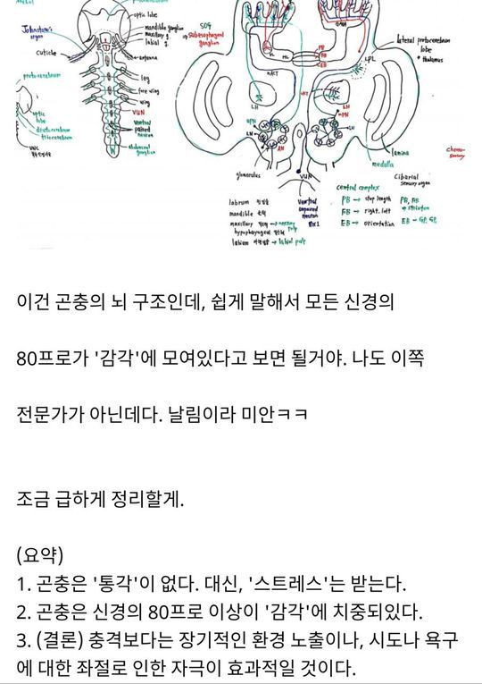 디씨에서 가장 학구열이 풍부한 갤러리.jpg | 인스티즈
