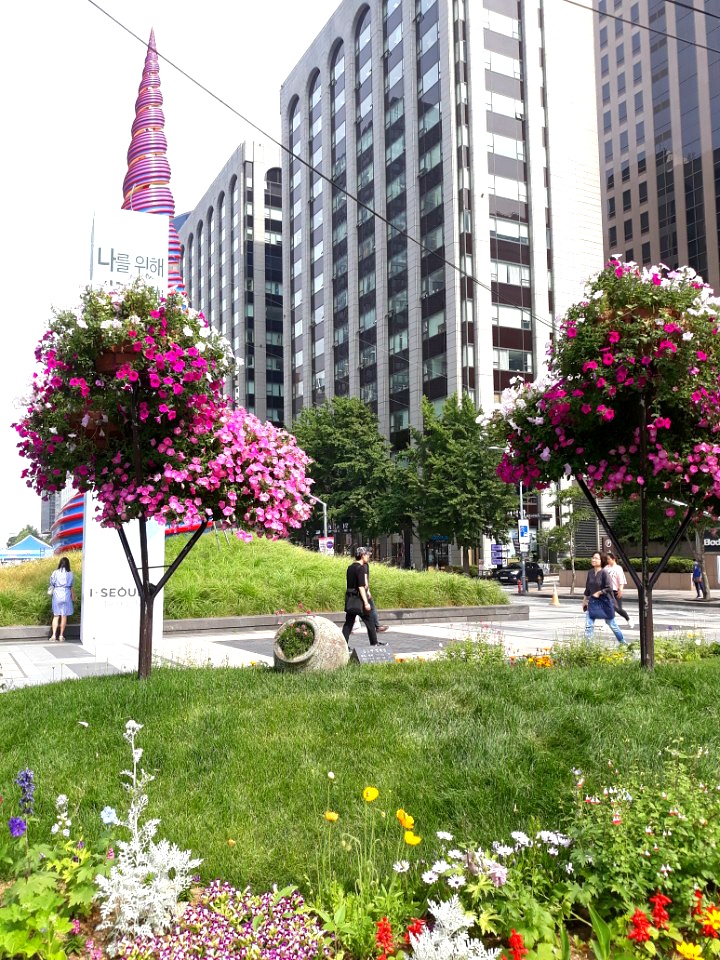 청계천 - ◈ 풍경 사진방 ◈ - 코스모스화원 청계천
